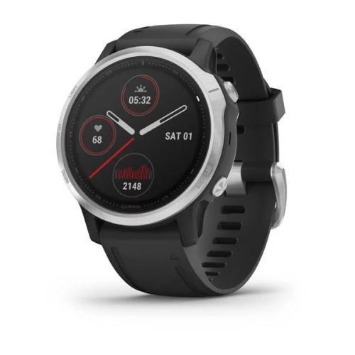 Часы GARMIN Fenix 6S (Silver/Black Band)