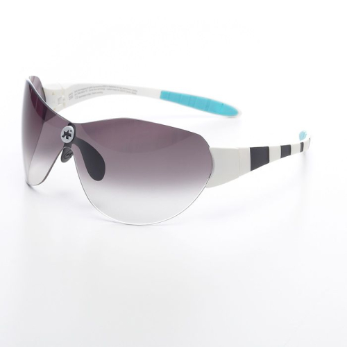 Очки ASSOS Zegho Werksmannschaft Black