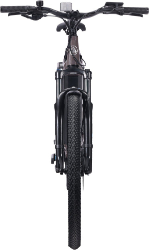 Электровелосипед Alpinebike Dammastock, рама M (165-175 см), коричневый