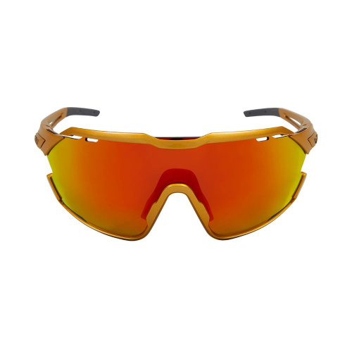 Мультиспортивные очки NORTHUG GOLD PERFORMANCE GOLD Standard