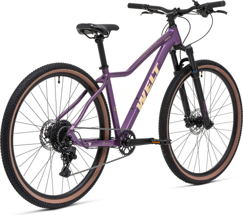 Велосипед Welt Monza 3.0 29 HD (2025), рама M (165-175 см), фиолетовый